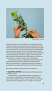 Flowers for a Bouquet. A Guide to Cut Flowers for the Beginning Florist. What and When to Buy and How to Extend the Life of Flowers